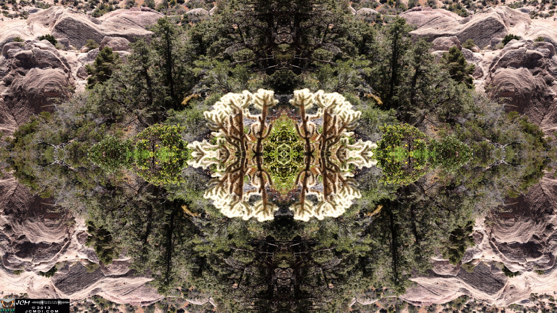 Quadroscopic image filmed at Devil's Punchbowl county park